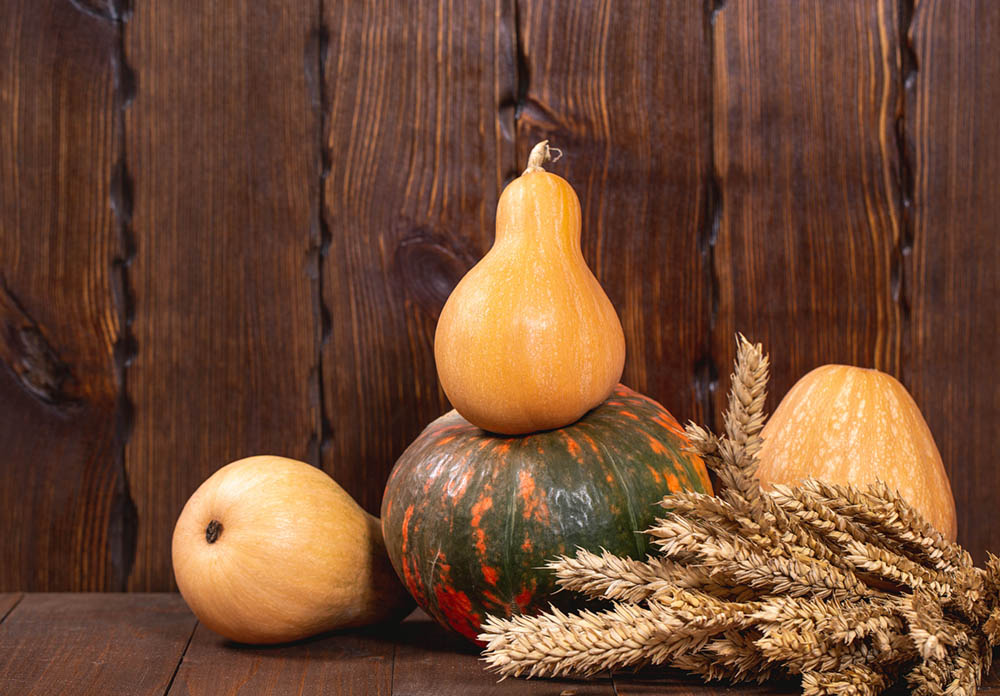 Fall Decorations - Pumpkins and Gourds